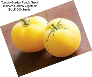 Tomato Garden Peach Great Heirloom Garden Vegetable BULK 600 Seeds