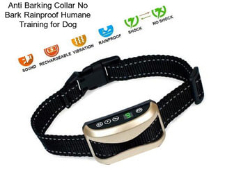 Anti Barking Collar No Bark Rainproof Humane Training for Dog