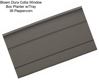 Bloem Dura Cotta Window Box Planter w/Tray 36\