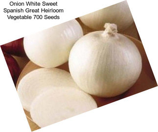 Onion White Sweet Spanish Great Heirloom Vegetable 700 Seeds