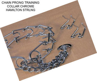 CHAIN PRONG TRAINING COLLAR CHROME HAMILTON STRLNG