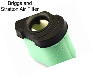 Briggs and Stratton Air Filter