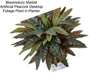 Bloomsbury Market Artificial Peacock Desktop Foliage Plant in Planter