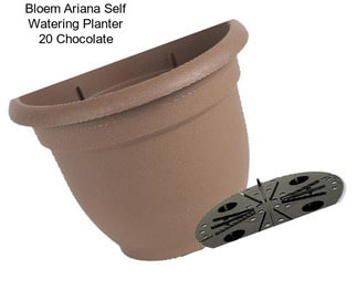 Bloem Ariana Self Watering Planter 20\