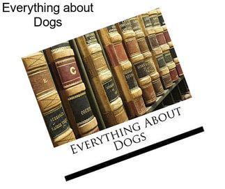 Everything about Dogs
