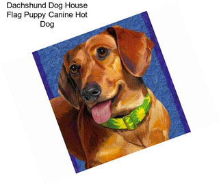 Dachshund Dog House Flag Puppy Canine Hot Dog