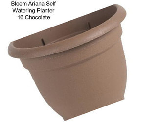 Bloem Ariana Self Watering Planter 16\