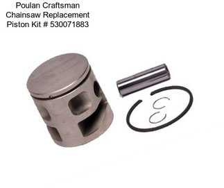 Poulan Craftsman Chainsaw Replacement Piston Kit # 530071883