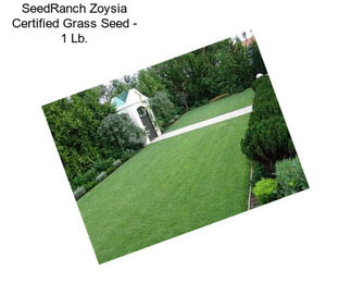 SeedRanch Zoysia Certified Grass Seed - 1 Lb.
