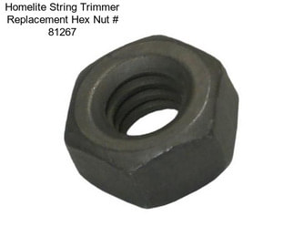 Homelite String Trimmer Replacement Hex Nut # 81267