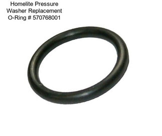 Homelite Pressure Washer Replacement O-Ring # 570768001