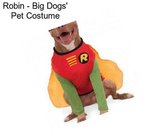 Robin - Big Dogs\' Pet Costume