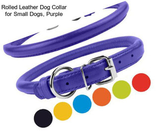 Rolled Leather Dog Collar for Small Dogs, Purple