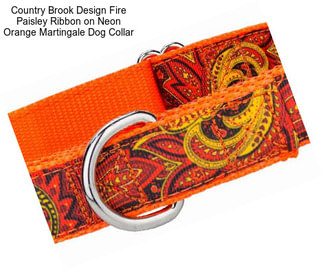 Country Brook Design Fire Paisley Ribbon on Neon Orange Martingale Dog Collar
