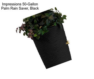 Impressions 50-Gallon Palm Rain Saver, Black