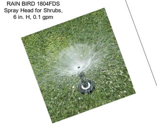 RAIN BIRD 1804FDS Spray Head for Shrubs, 6 in. H, 0.1 gpm