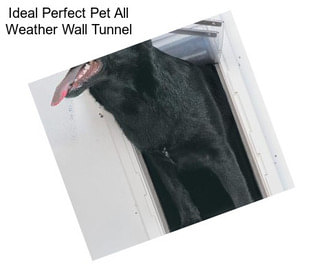 Ideal Perfect Pet All Weather Wall Tunnel