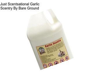 Just Scentsational Garlic Scentry By Bare Ground