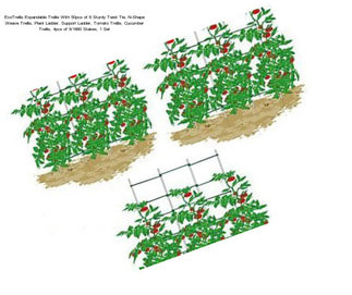 EcoTrellis Expandable Trellis With 50pcs of 6\