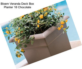 Bloem Veranda Deck Box Planter 18\