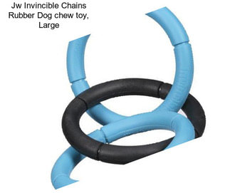 Jw Invincible Chains Rubber Dog chew toy, Large