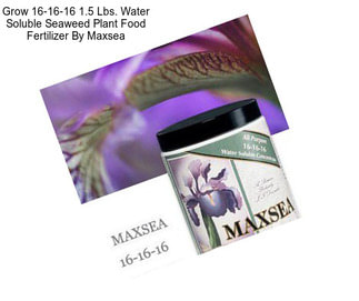 Grow 16-16-16 1.5 Lbs. Water Soluble Seaweed Plant Food Fertilizer By Maxsea