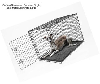 Carlson Secure and Compact Single Door Metal Dog Crate, Large