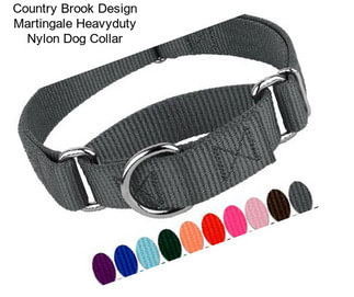 Country Brook Design Martingale Heavyduty Nylon Dog Collar