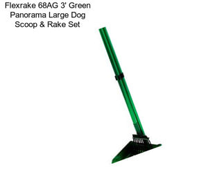 Flexrake 68AG 3\' Green Panorama Large Dog Scoop & Rake Set