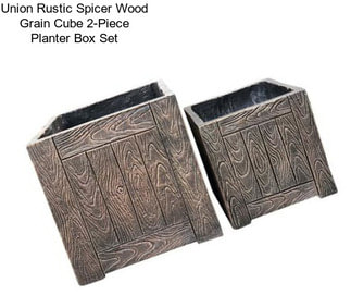 Union Rustic Spicer Wood Grain Cube 2-Piece Planter Box Set