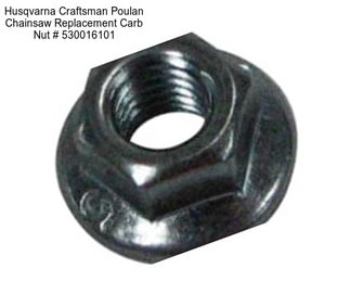 Husqvarna Craftsman Poulan Chainsaw Replacement Carb Nut # 530016101