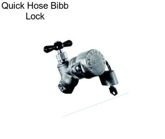 Quick Hose Bibb Lock