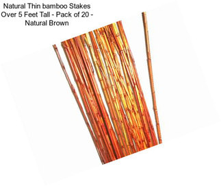 Natural Thin bamboo Stakes Over 5 Feet Tall - Pack of 20 - Natural Brown