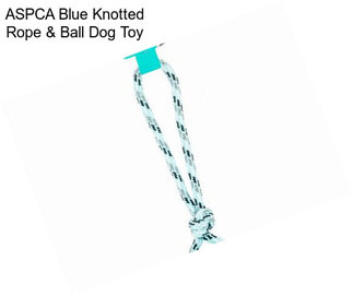 ASPCA Blue Knotted Rope & Ball Dog Toy