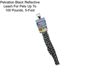 Petnation Black Reflective Leash For Pets Up To 100 Pounds, 5-Foot