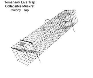 Tomahawk Live Trap Collapsible Muskrat Colony Trap