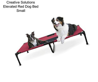 Creative Solutions Elevated Red Dog Bed Small
