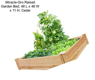 Miracle-Gro Raised Garden Bed, 48\