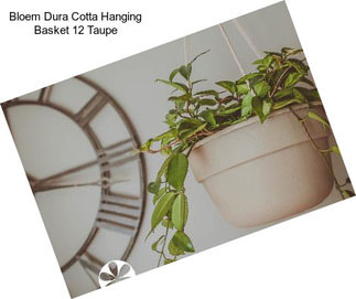Bloem Dura Cotta Hanging Basket 12\