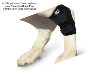 HJZ Dog Canine Rear Leg Hock Joint Protection Brace Paw Compression Wrap With Straps