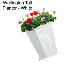 Wellington Tall Planter - White