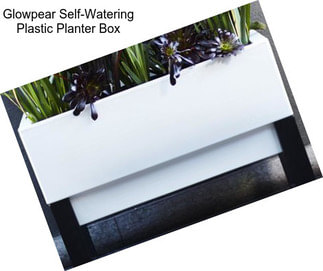 Glowpear Self-Watering Plastic Planter Box