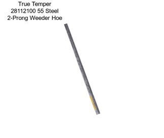 True Temper 28112100 55\