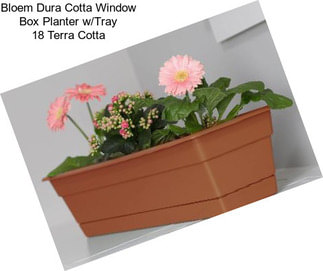 Bloem Dura Cotta Window Box Planter w/Tray 18\