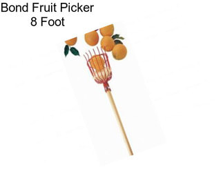 Bond Fruit Picker 8 Foot