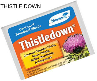 THISTLE DOWN