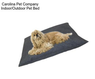 Carolina Pet Company Indoor/Outdoor Pet Bed