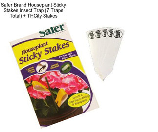 Safer Brand Houseplant Sticky Stakes Insect Trap (7 Traps Total) + THCity Stakes