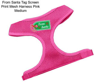 From Santa Tag Screen Print Mesh Harness Pink Medium