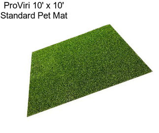 ProViri 10\' x 10\' Standard Pet Mat